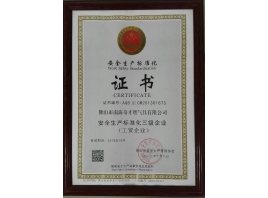 安全生产标准化三级证书
